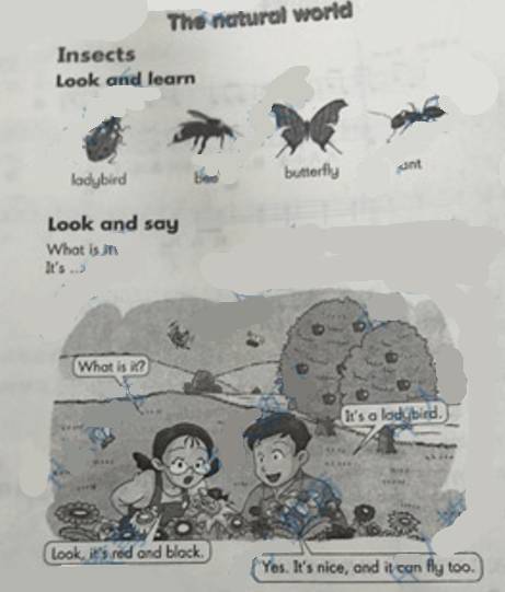 2016下半年陜西小學(xué)教師資格<教育教學(xué)知識與能力>考試真題及答案