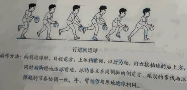 2016下半年陜西小學(xué)教師資格<教育教學(xué)知識與能力>考試真題及答案
